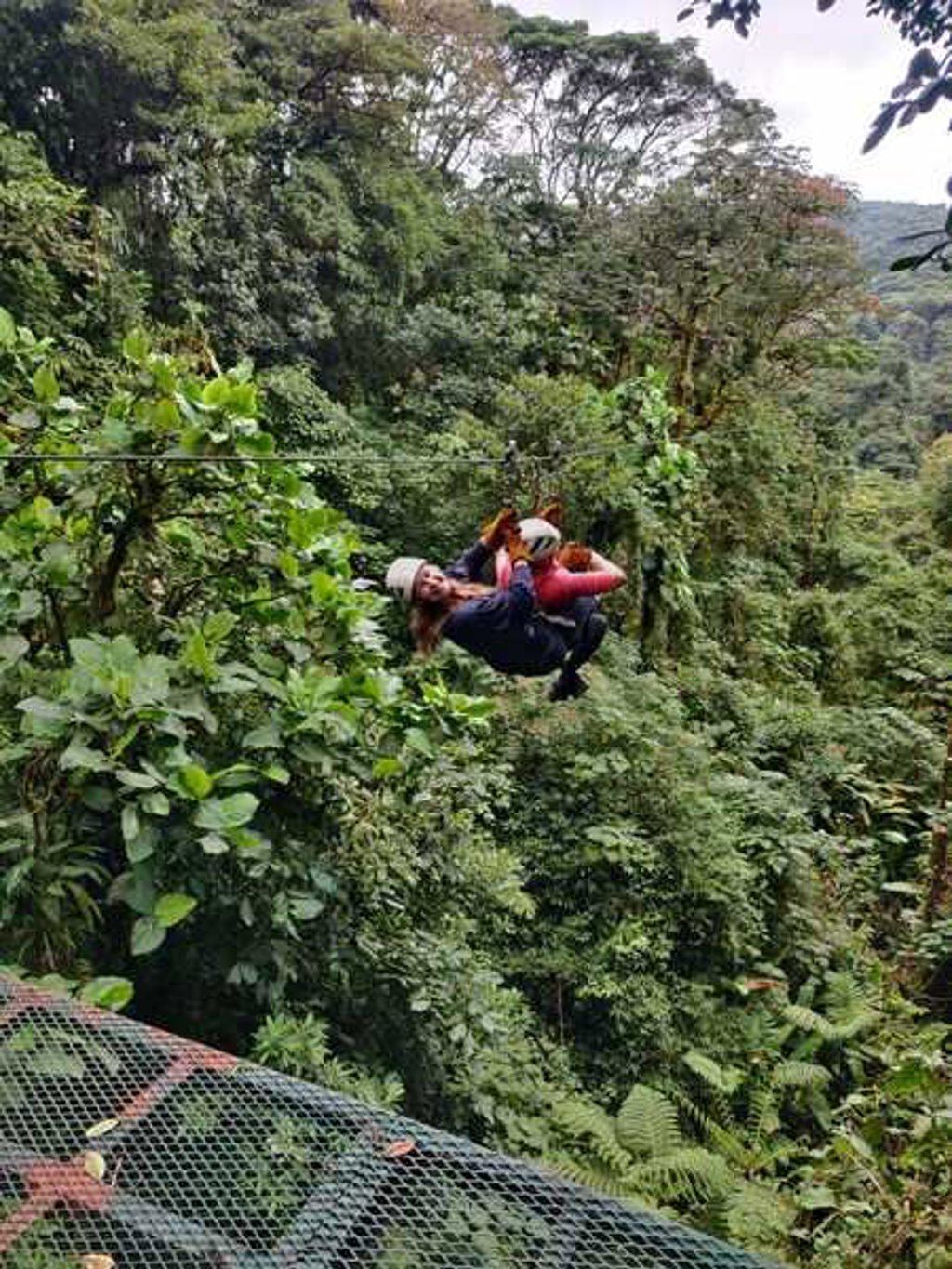 Groene boomkruinen in het regenwoud van Costa Rica tijdens een groepsrondreis.