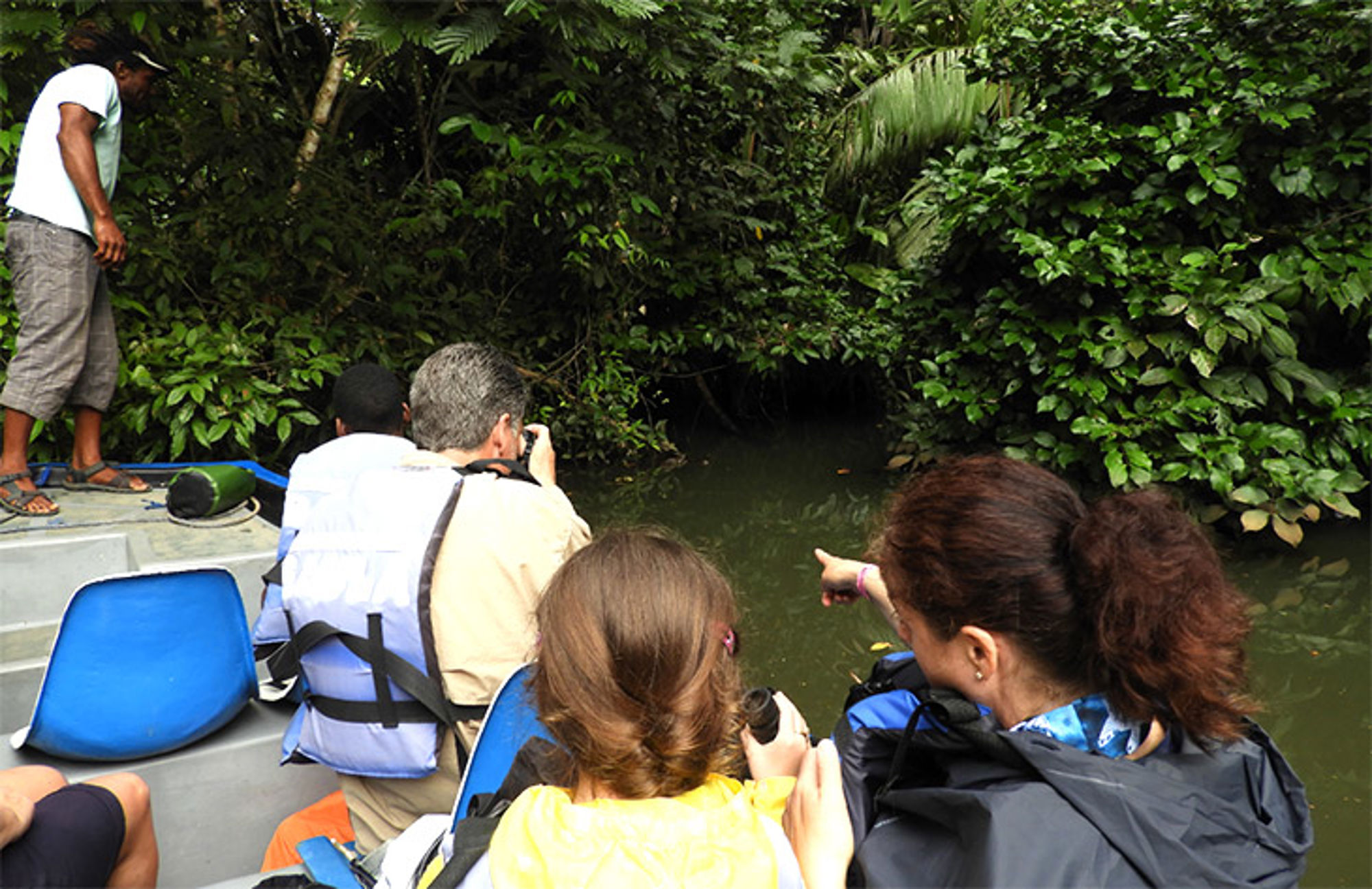 Wildlife spotten Boottocht door smalle rivier in dicht regenwoud, met reizigers die dieren spotten en fotograferen.