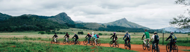 Groep mountainbikers fietst over een zandpad door de savanne met bergen op de achtergrond in eSwatini.