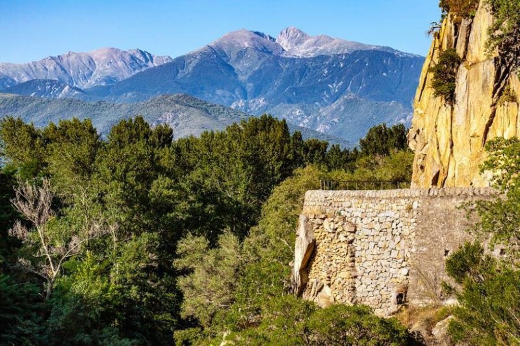Mistige berghelling met kale bomen in de Pyreneeën bij Canigou, Frankrijk.