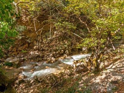 Bosrijke kloof met kabbelende rivier en wandelpad tijdens een familiereis in Griekenland.