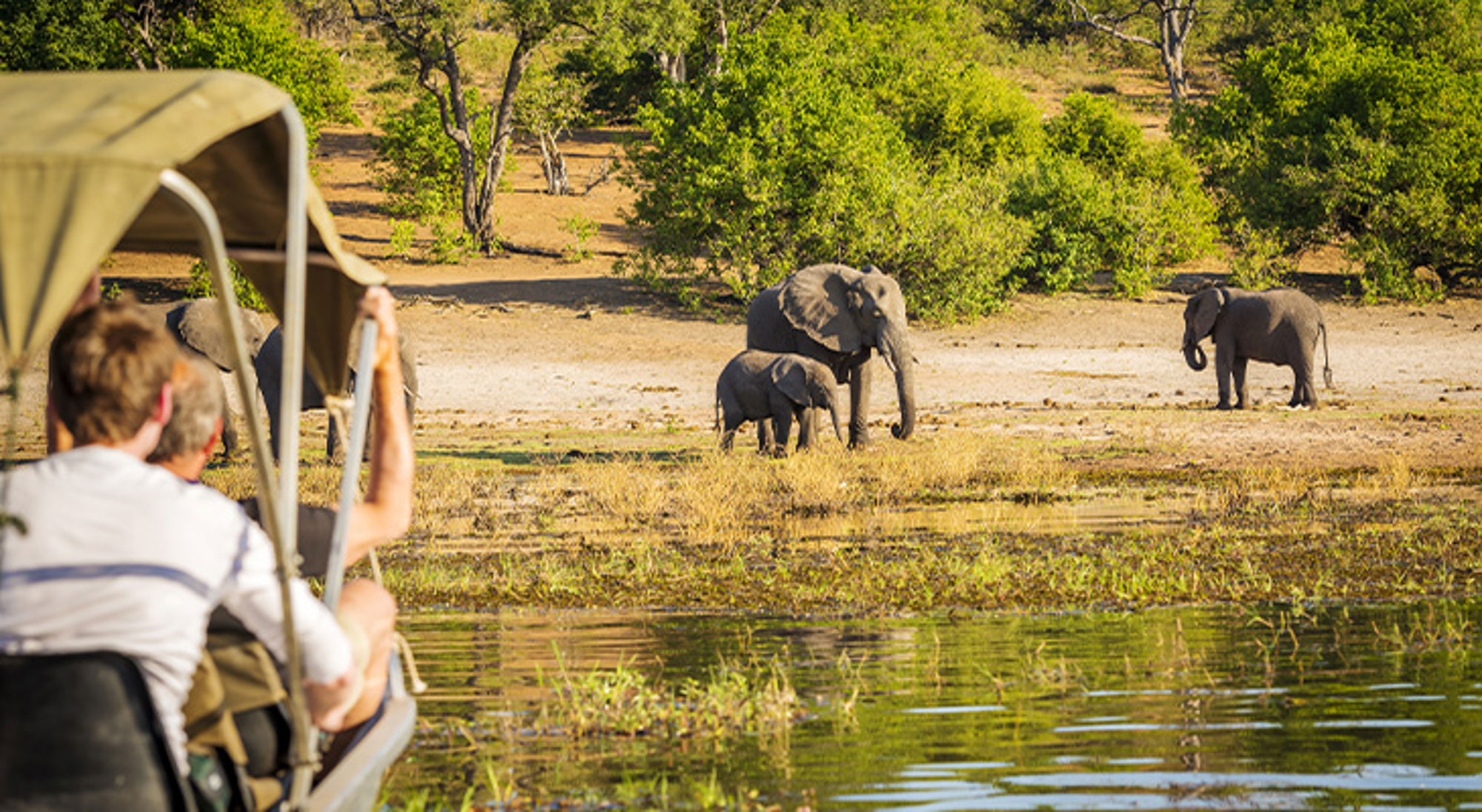 Big Five Botswana Safari in open voertuig bij een waterplas met olifanten en een jong in de verte.
