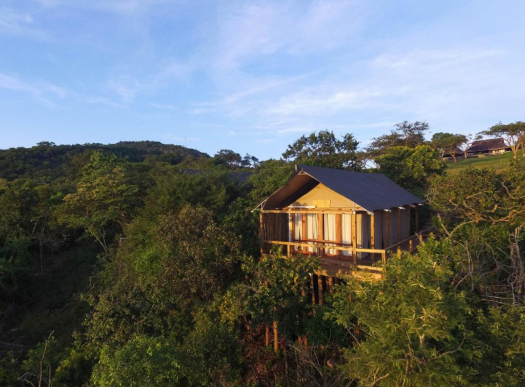 Luxe safaritent met veranda tussen groen heuvelbos tijdens groepsrondreis Zuid-Afrika (Premium).