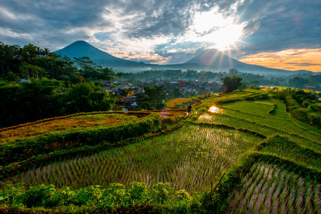 Rijstterrassen op Java bij zonsopkomst met vulkanen op de achtergrond tijdens 22-35ers reis Indonesië Java en Bali.