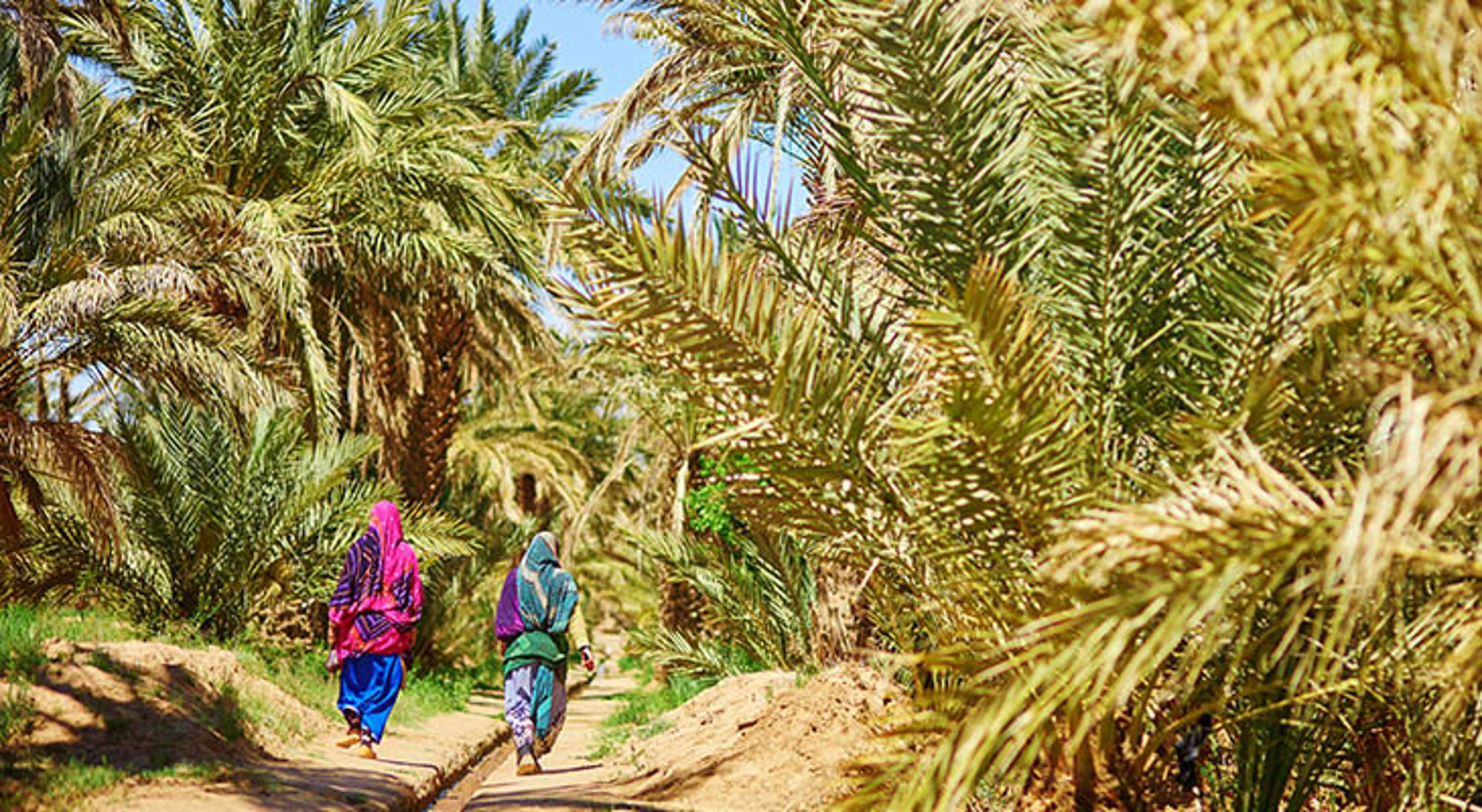 Ziz-vallei Twee vrouwen lopen over een pad door een palmoase in Marokko.