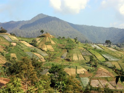 Groene rijstvelden op terrassen met bergen op de achtergrond tijdens de route Sumatra, Java en Bali.