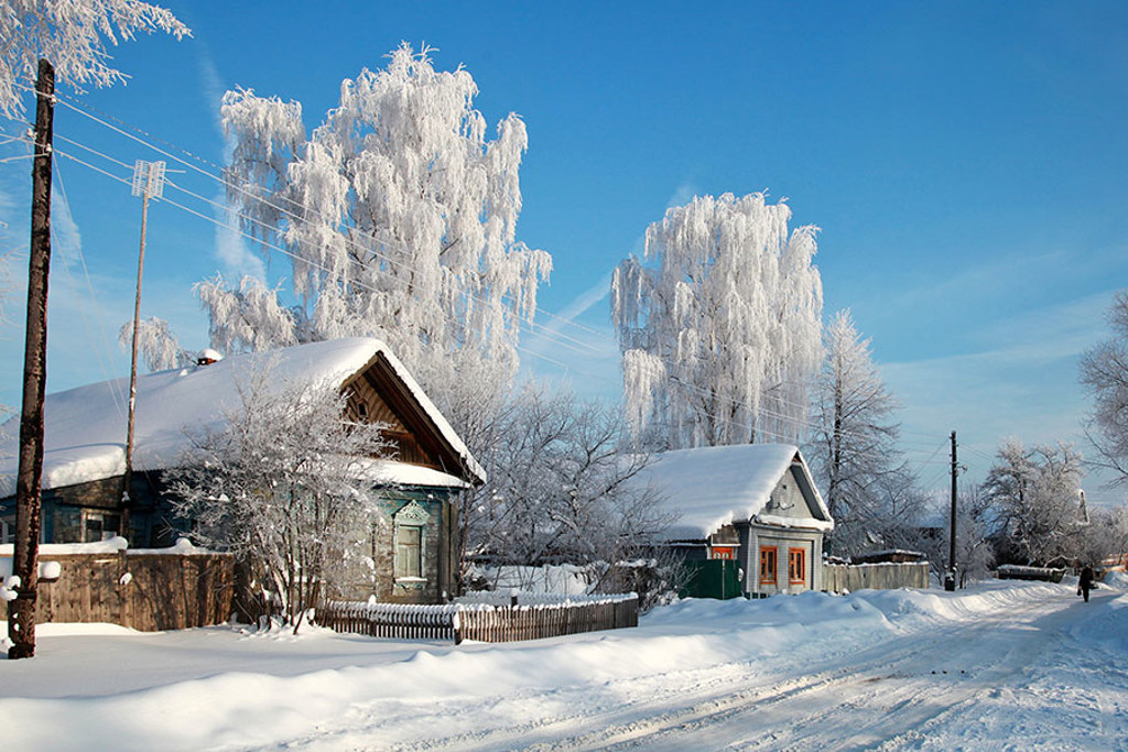 Besneeuwd Russisch dorp met houten huizen en rijp op bomen tijdens de winterrondreis Rusland.