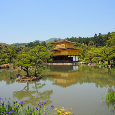 Gouden Paviljoen (Kinkaku-ji) in Kyoto weerspiegeld in de vijver, tijdens een groepsrondreis Japan.