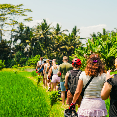 Groep wandelt langs rijstvelden tijdens familiereis Java en Bali, Indonesië.