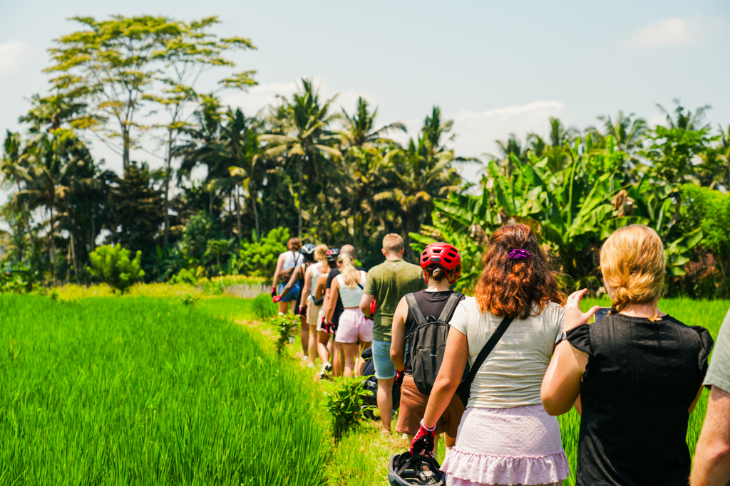Groep wandelt langs rijstvelden tijdens familiereis Java en Bali, Indonesië.