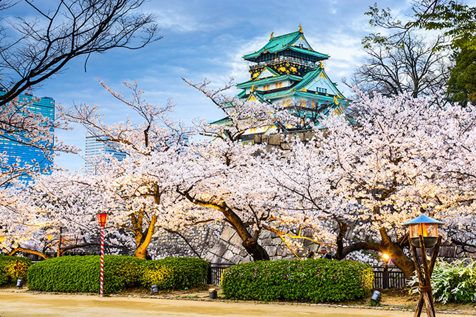 Lente in Osaka, Japan Osaka Castle in Japan, omringd door bloeiende kersenbloesem in de lente.