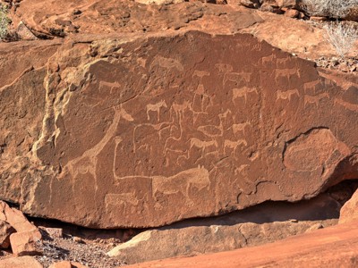 Rotstekeningen van dieren op een rotswand in Namibië tijdens de Route Namibië.