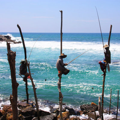 Steltvissers langs de kust van Sri Lanka tijdens een groepsrondreis, met ruige zee en rotsen op de achtergrond.