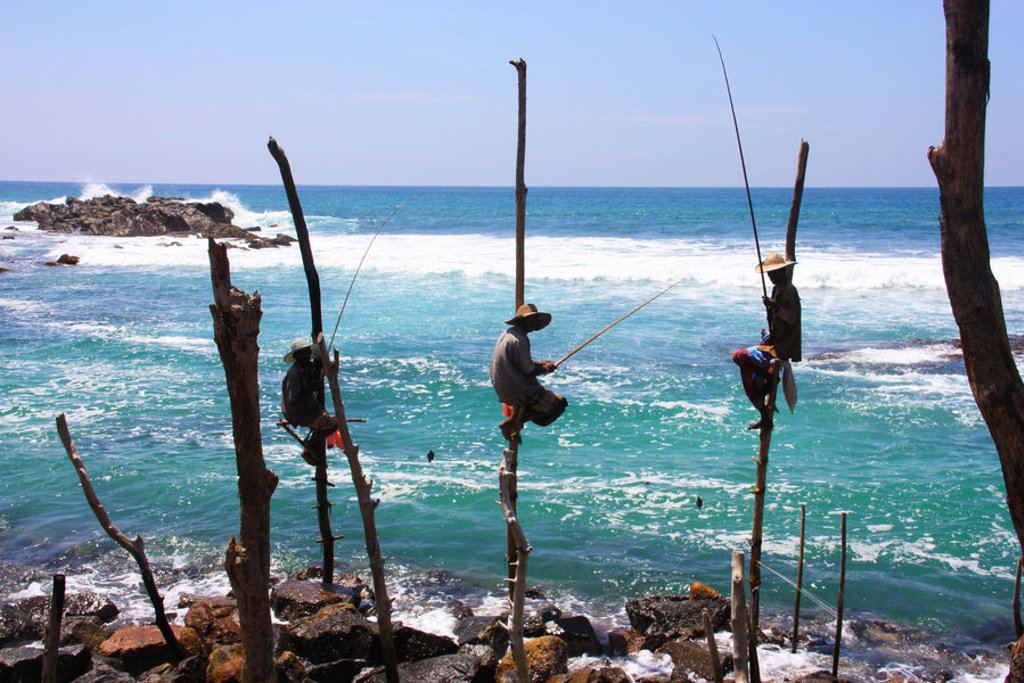 Steltvissers langs de kust van Sri Lanka tijdens een groepsrondreis, met ruige zee en rotsen op de achtergrond.