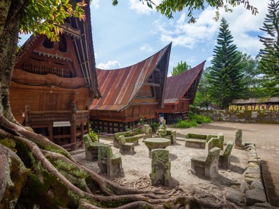 Traditionele Batak-huizen in Huta Siallagan op Samosir, Sumatra, met stenen zitplaatsen onder grote boomwortels.
