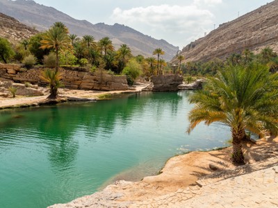 Groene waterpoel in een bergwadi met palmbomen in Oman tijdens de Route Oman en Dubai.