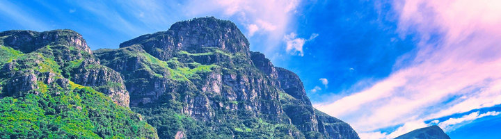 Uitzicht op de Tafelberg bij Kirstenbosch National Botanical Garden in Kaapstad, Zuid-Afrika.