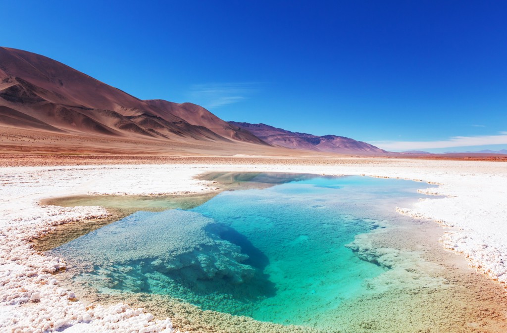 Turquoise zoutlagune in de Andes bij Catamarca, tijdens een groepsrondreis door Argentinië.