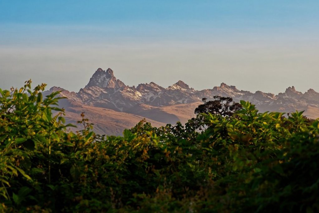 Groene storingsafbeelding; de foto uit de gallery van de groepsrondreis Kenia, Tanzania en Zanzibar ontbreekt.