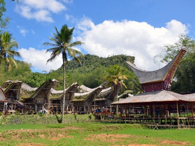 Traditionele Tongkonan-huizen en rijstschuren in Tana Toraja, Sulawesi, met palmbomen en groene heuvels.