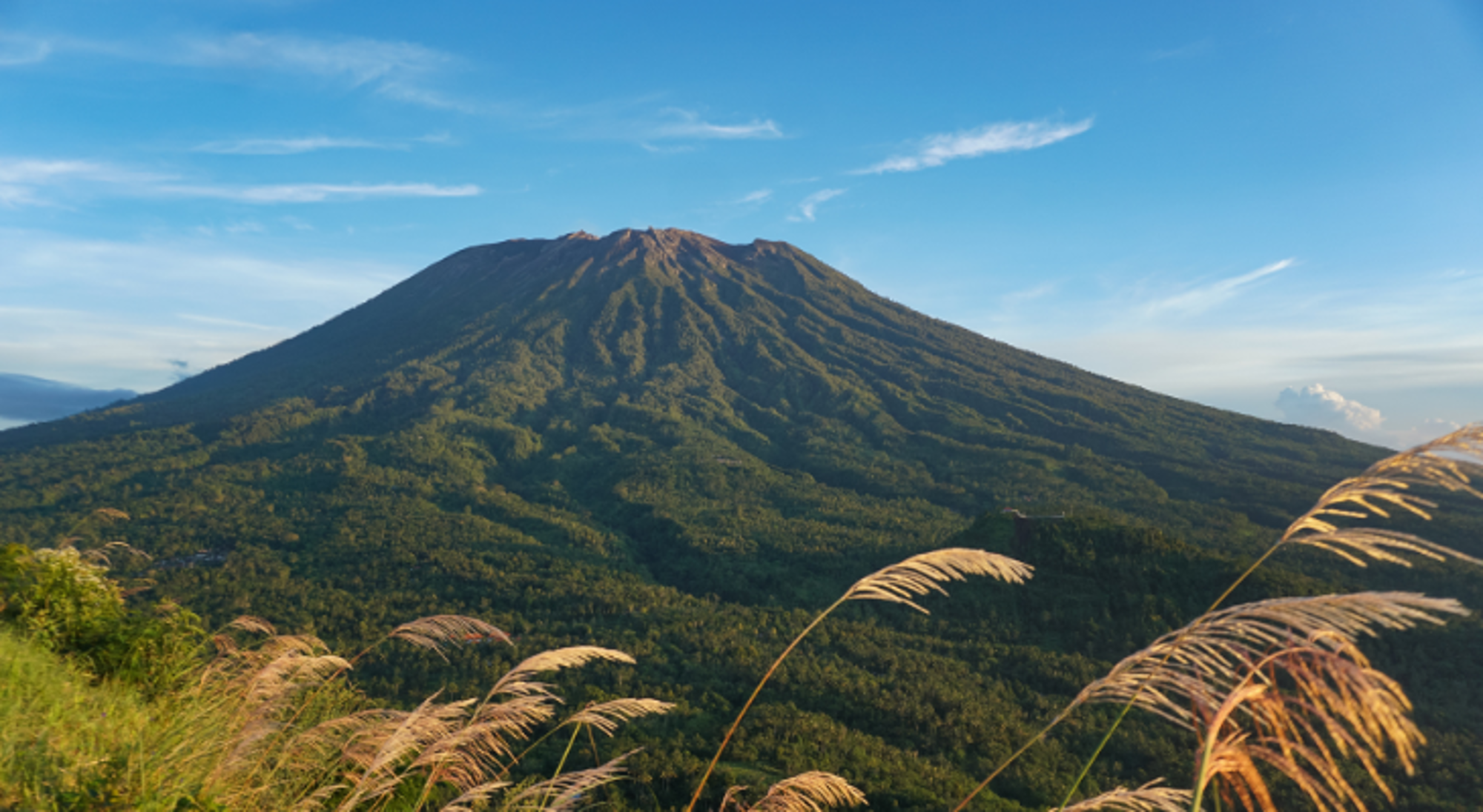 Mount Agung op Bali Groene vulkaan met rietpluimen op de voorgrond onder een heldere blauwe lucht.