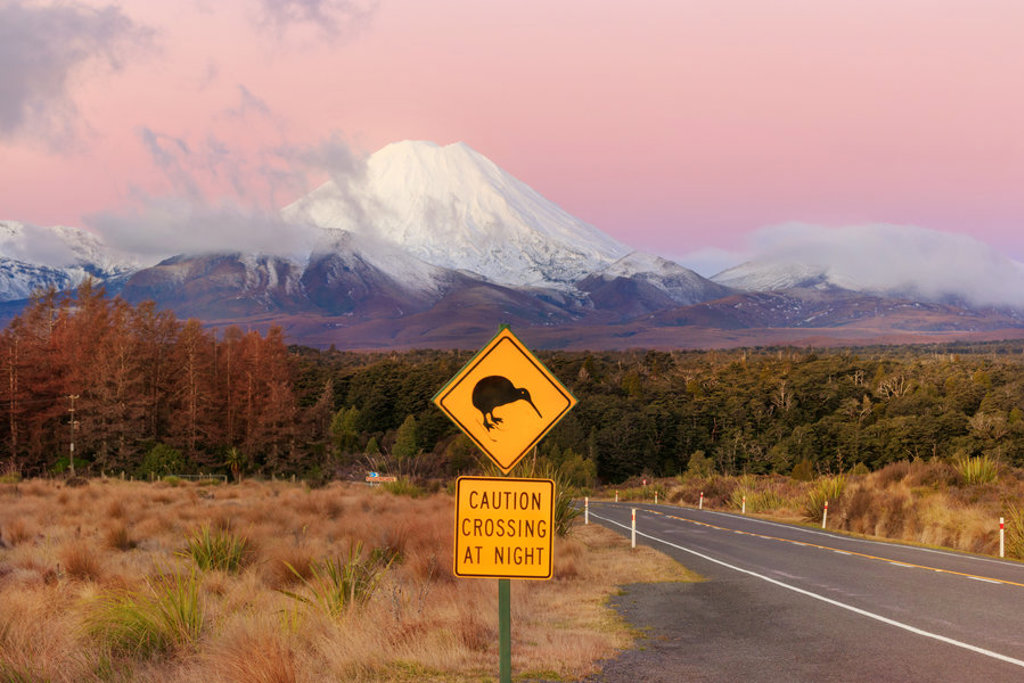 Kiwi-waarschuwingsbord langs de weg met besneeuwde Mount Ruapehu op de achtergrond, Nieuw-Zeeland.
