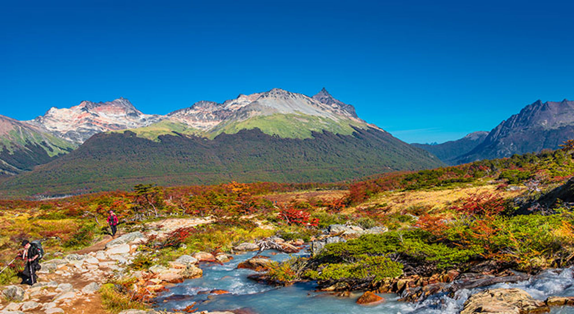 Wandelen door Vuurland Wandelpad langs een rivier met bergen op de achtergrond in Patagonië.