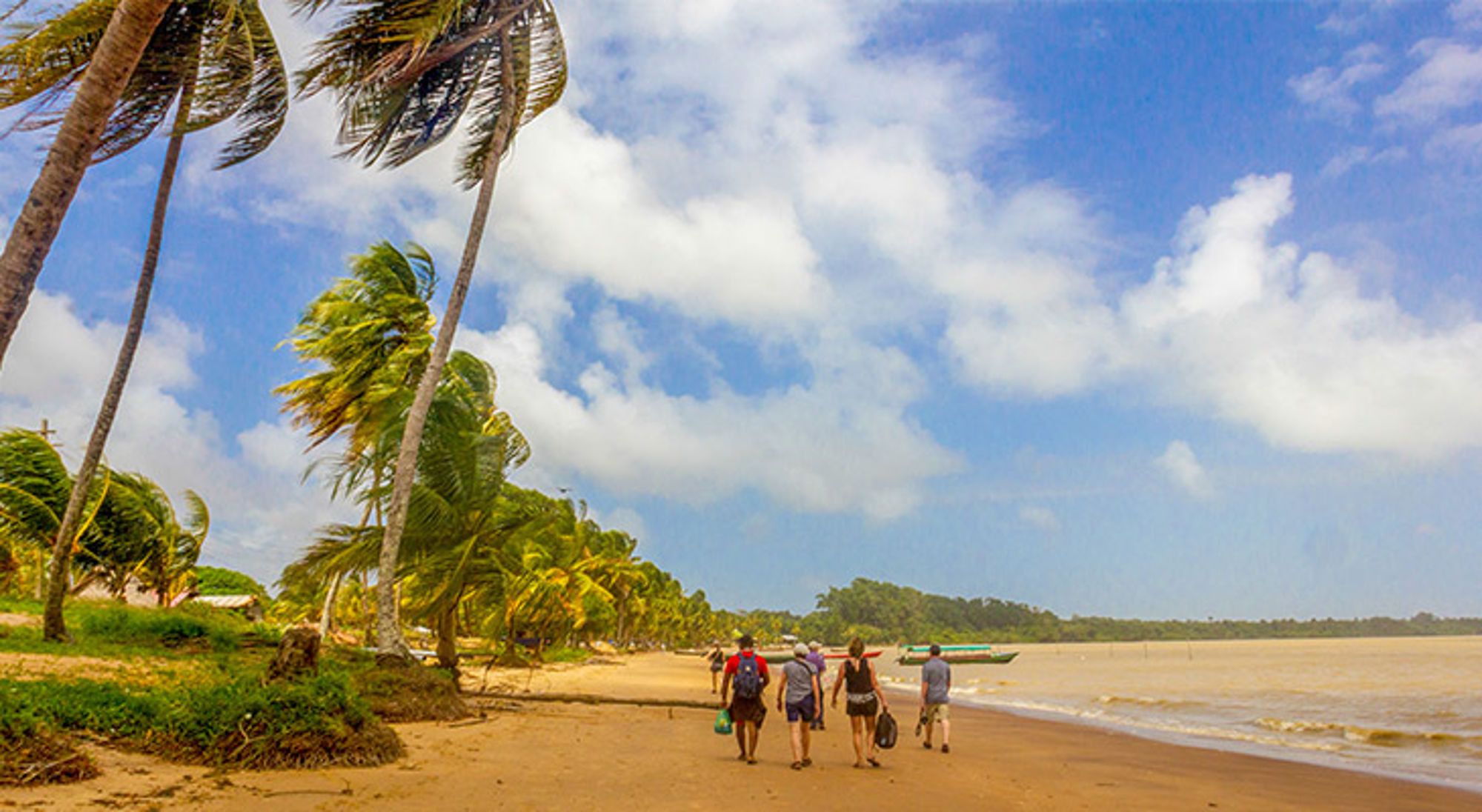 Wandelaars op een tropisch strand met palmbomen en zee onder een blauwe lucht.