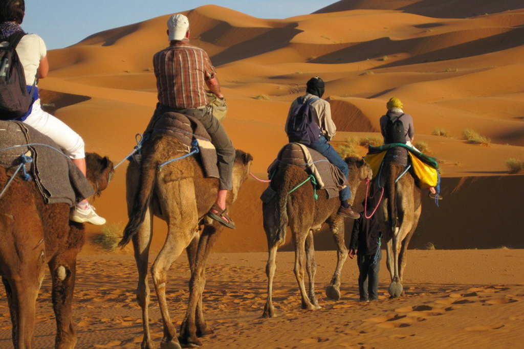 Familiereis Marokko zomer: gezin op kamelentocht door de zandduinen van de Sahara bij Merzouga.