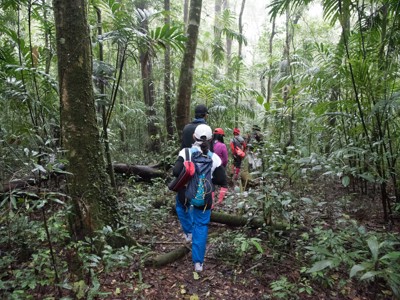 Wandelaars trekken door dicht regenwoud tijdens de Route Ecuador van 22 dagen.