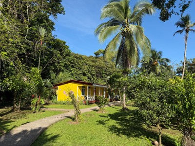 Gele bungalow van Valverde Lodge in Costa Rica, omringd door tropische tuin met palmbomen.