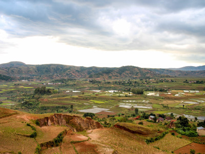 Groene rijstvelden en heuvels in de Hooglanden van Madagascar tijdens een 25-daagse rondreis.