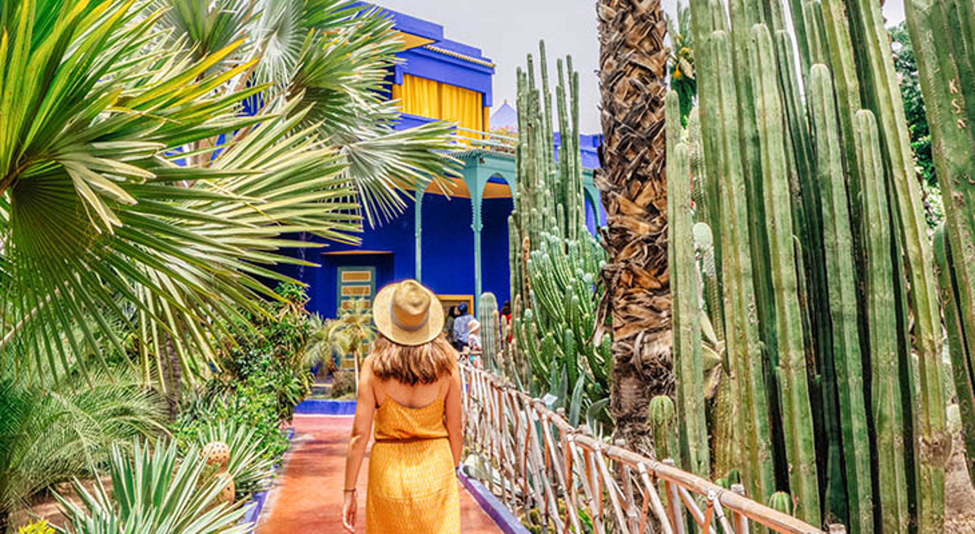 Jardin Majorelle Bezoeker loopt door de Jardin Majorelle in Marrakech langs cactussen en het blauwe Majorelle-huis.
