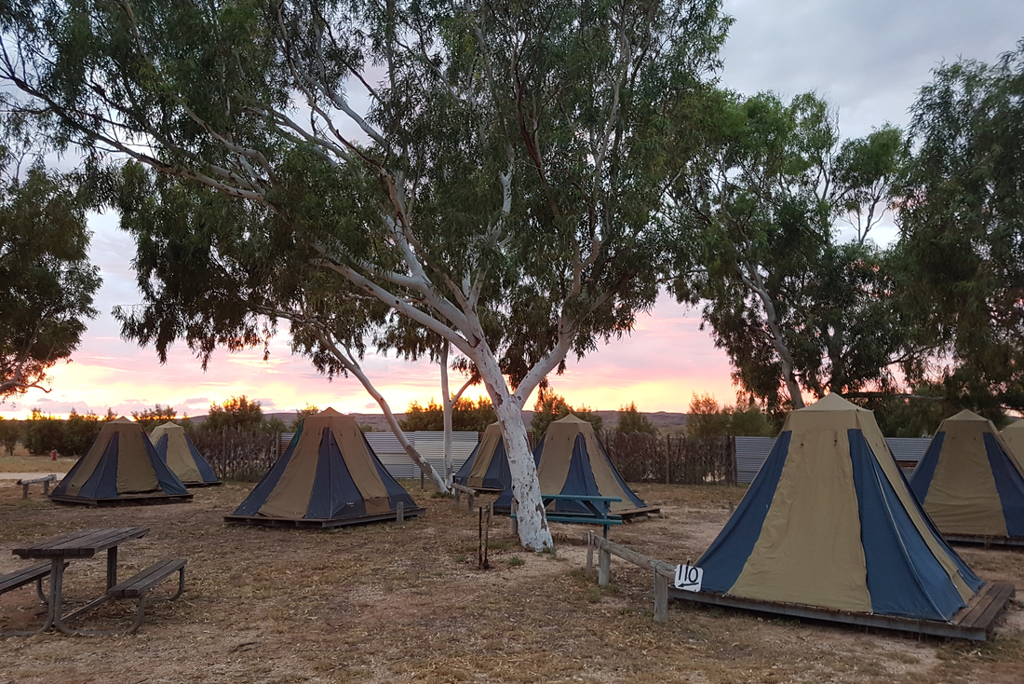 Kampeerterrein met safaritenten bij zonsondergang tijdens groepsrondreis West-Australië.