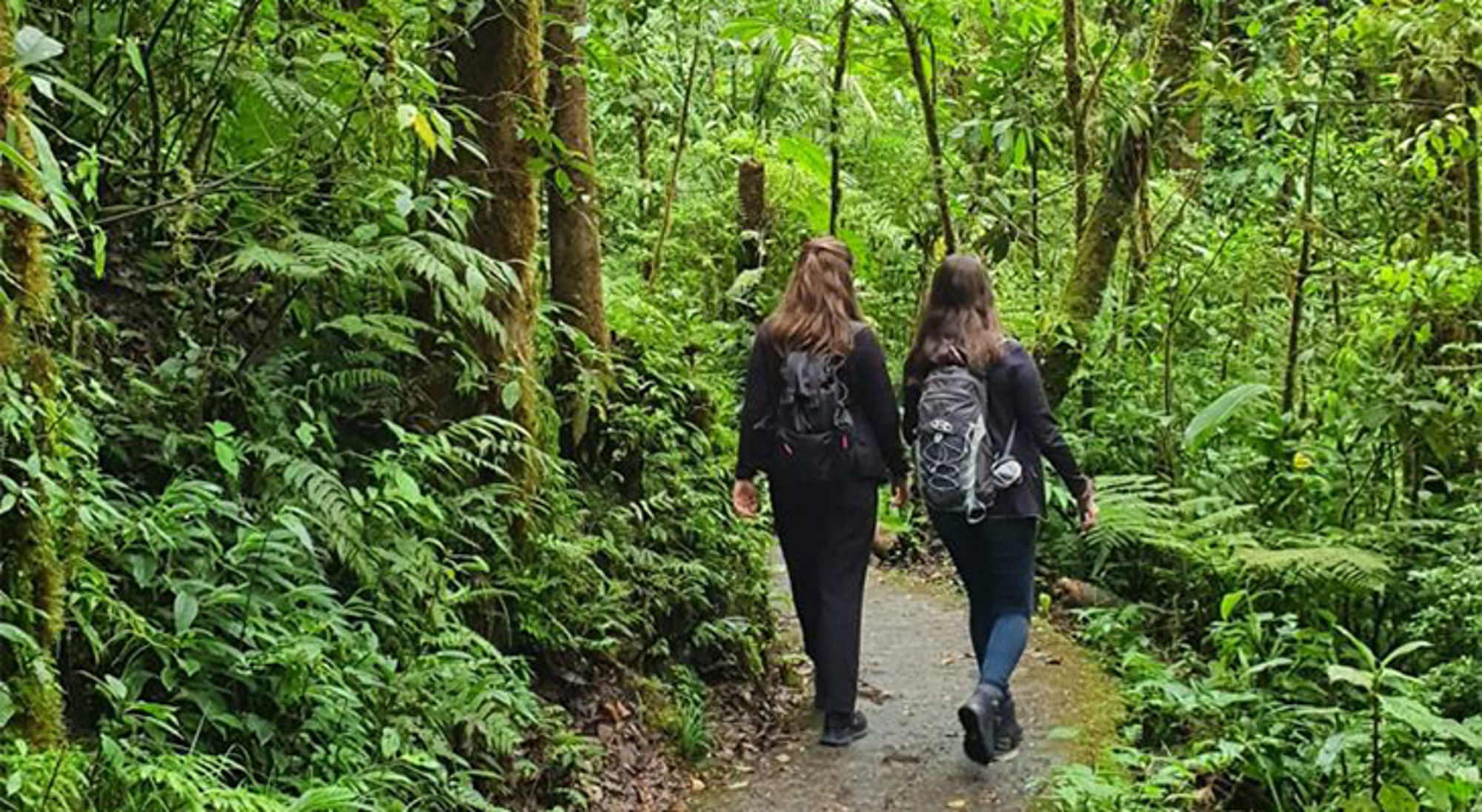 Fleur en Elin in Costa Rica Twee wandelaars met rugzak lopen over een pad door dicht, groen regenwoud.