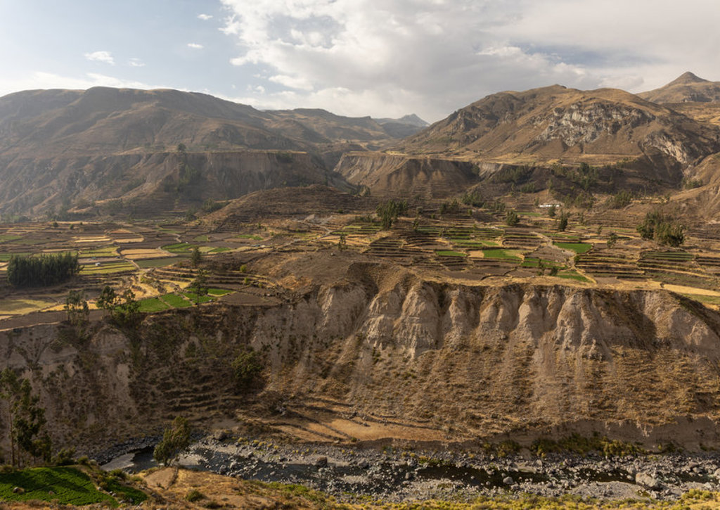 Terrasvormige landbouwvelden in een bergvallei in Peru tijdens een 22-35ers groepsrondreis.