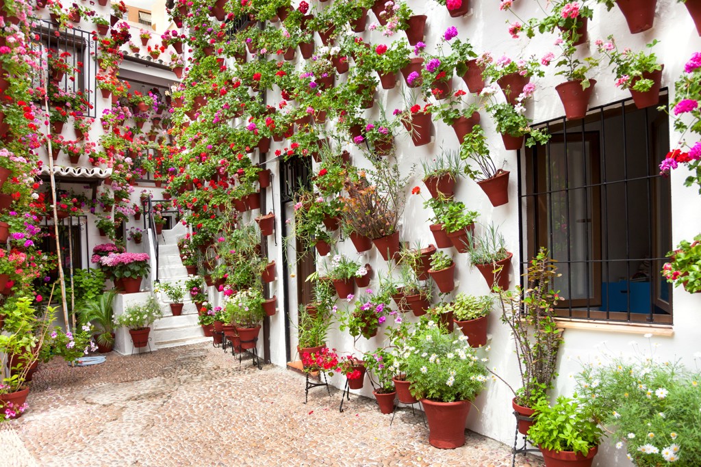 Witte binnenplaats in Andalusië met kleurrijke bloempotten aan de muur, tijdens een familiereis in Spanje.