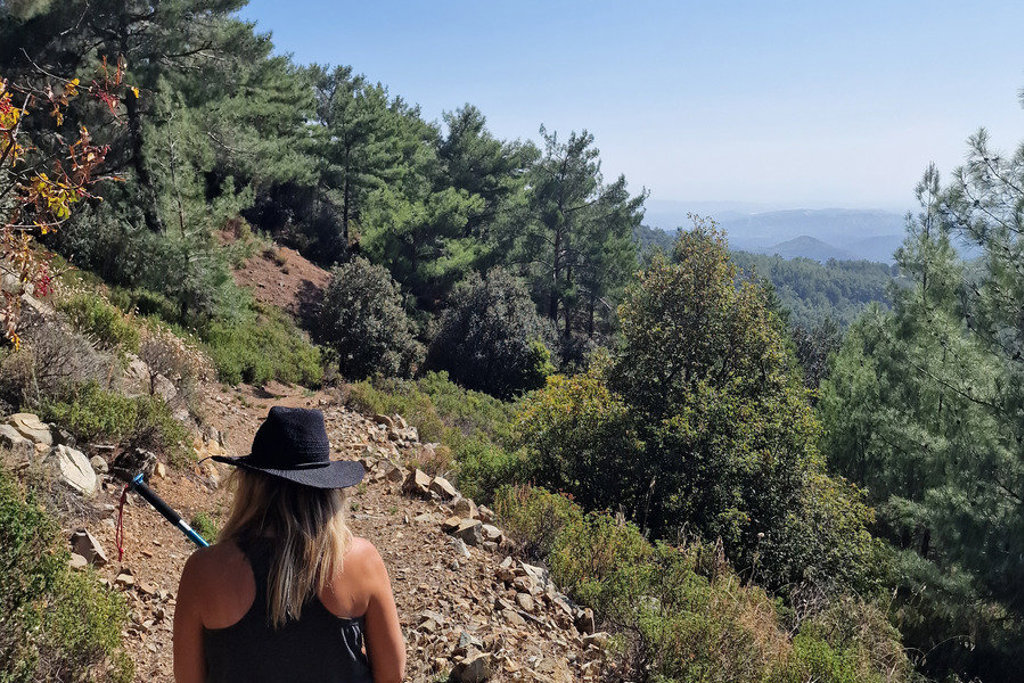 Wandelaar op bergpad tussen pijnbomen in Cyprus tijdens familiereis.