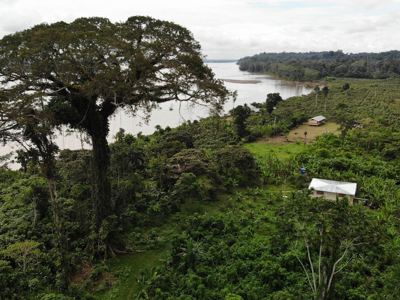 Yarina Eco Lodge