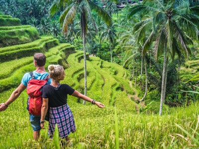 Wandelaars bij de rijstterrassen van Tegallalang op Bali, omringd door palmbomen.