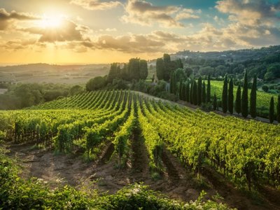 Fietsers op een landweg tussen cipressen en heuvels in Toscane.