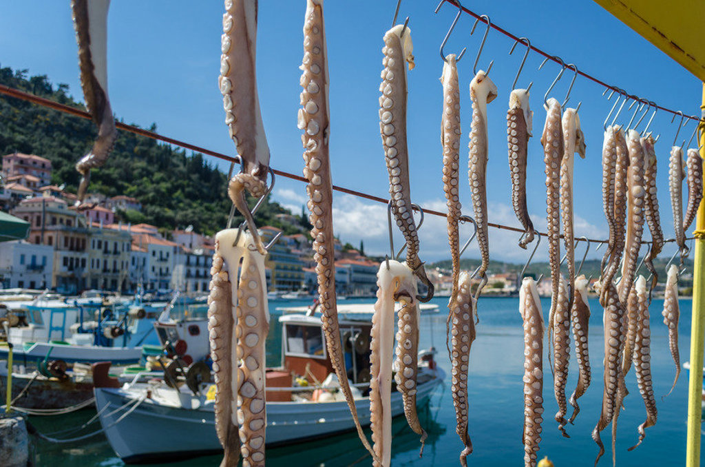 Octopus hangt te drogen in een Griekse haven, tijdens familiereis Griekenland.