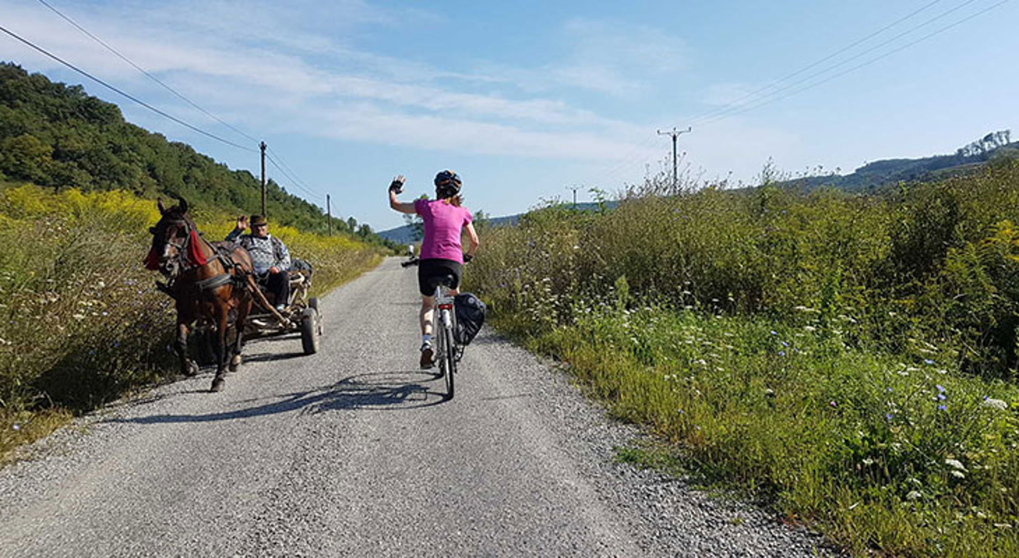 Fietser op een landelijke weg groet een paardenkar tussen groene heuvels en wilde bloemen.