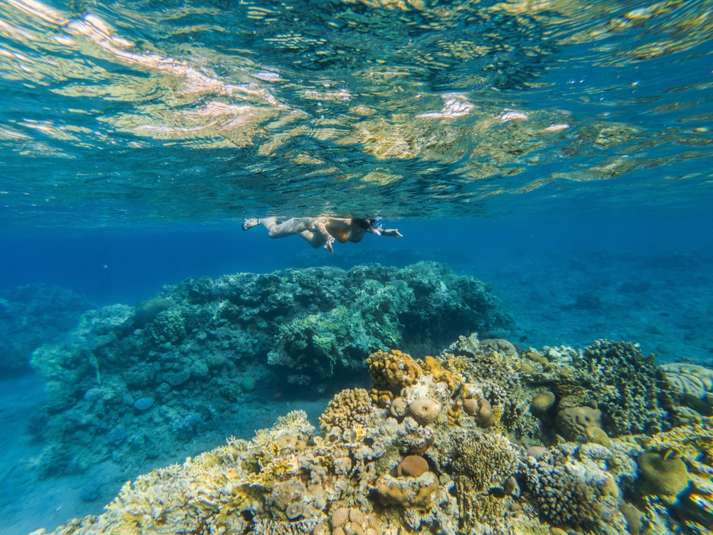 Snorkelaar boven kleurrijk koraalrif in de Rode Zee tijdens een groepsrondreis in Israël.