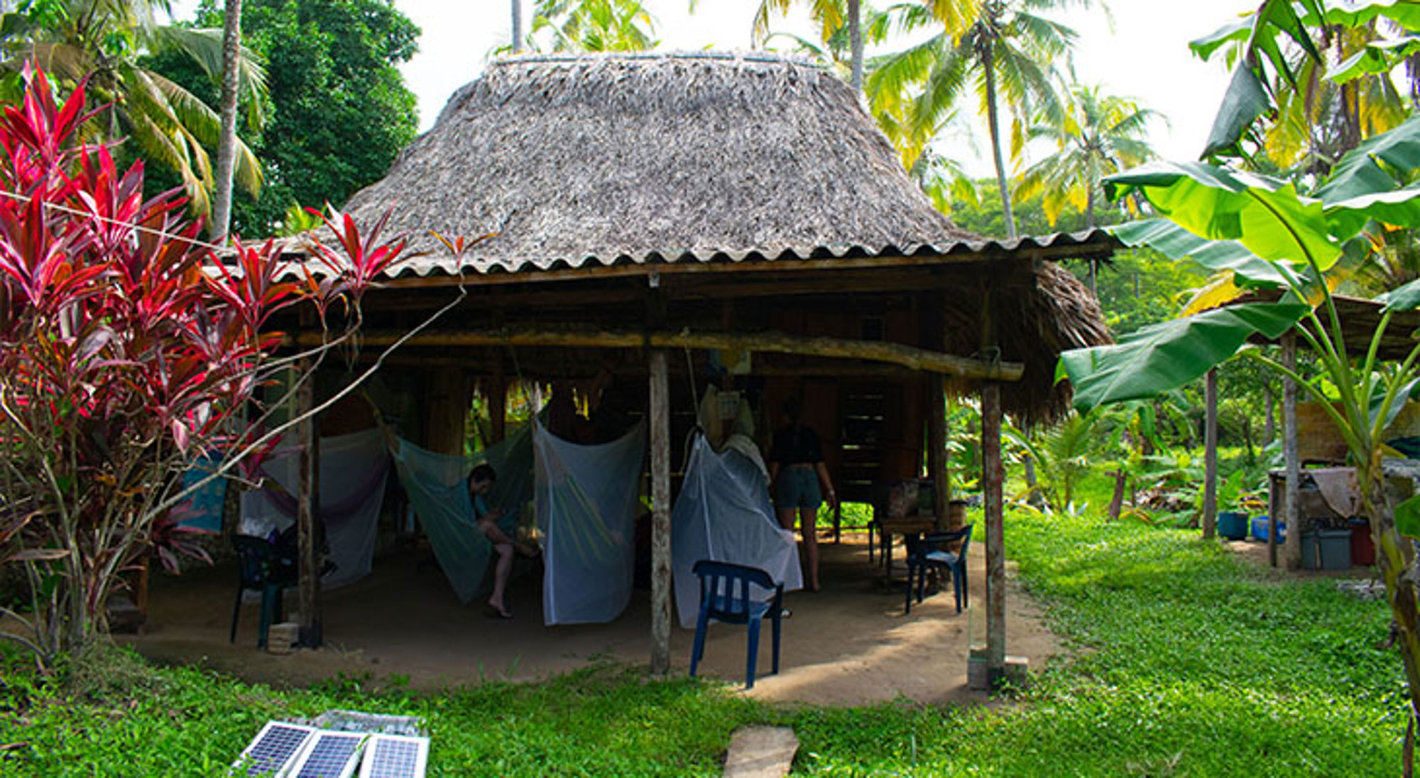 Playa los Angeles Colombia Rieten bungalow met hangmatten in een tropische tuin met palmbomen en bananenplanten.