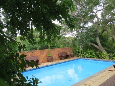 Forest Lodge