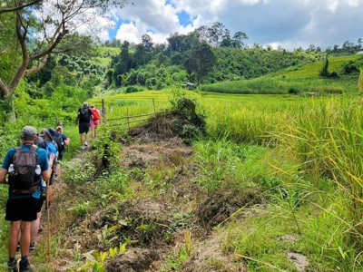 Wandelaars op een pad langs rijstvelden en groene heuvels in Thailand tijdens de Route Thailand.