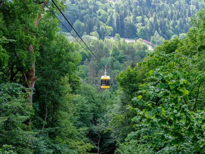 Kabelbaan gondel boven een groen boslandschap tijdens de Route  Polen en Baltische Staten.