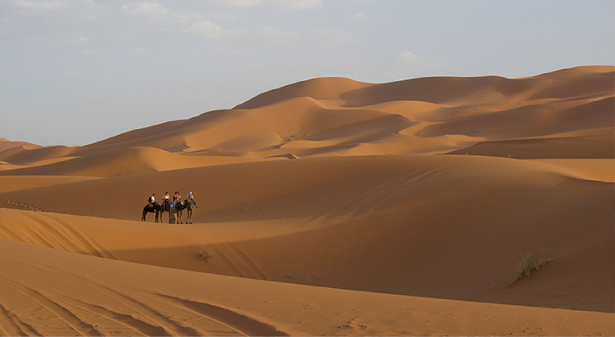 Erg Chebbi woestijn Kamelenkaravaan met reizigers in uitgestrekte zandduinen bij zonsondergang.