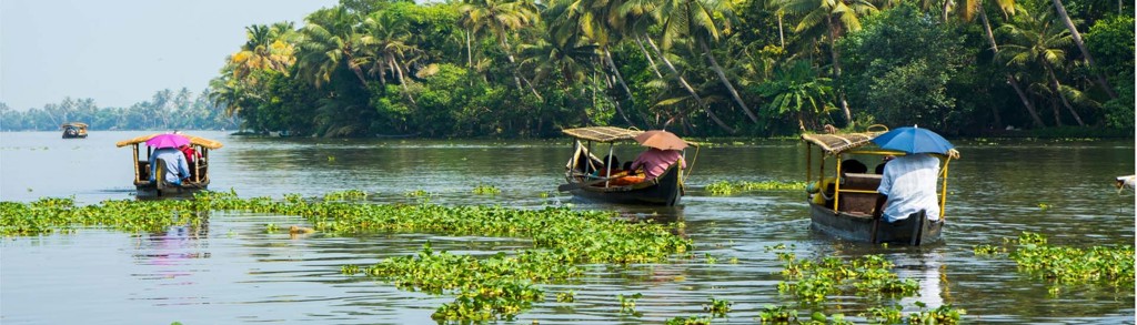 Boottocht door de backwaters van Zuid-India langs palmbomen en drijvende waterplanten.